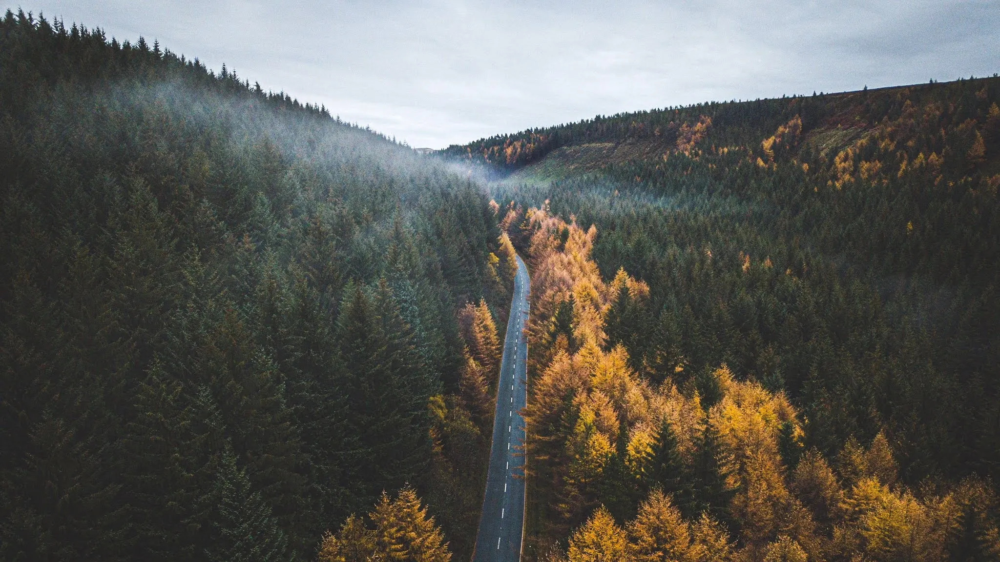 Aerial drone shot of a road through an autumn forest in morning fog